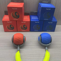Free Shipment Interactive Indoor Training Pet Toy