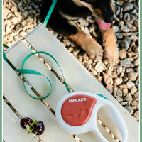 Pet Training Leash 3m Automatic Retractable Outdoor Walking Leash