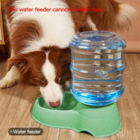 Pet dog and cat water feeding and feeder