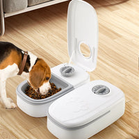 Pet Automatic Feeder Timed Quantification Separate Bowls