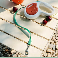 Pet Training Leash 3m Automatic Retractable Outdoor Walking Leash