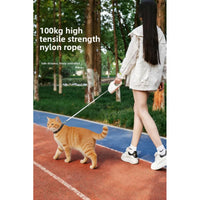 retractable leash for walking cats and dogs, a happy pet leash