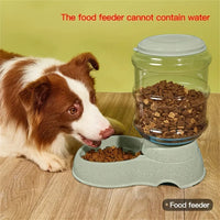 Pet dog and cat water feeding and feeder