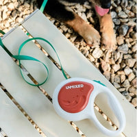 Pet Training Leash 3m Automatic Retractable Outdoor Walking Leash