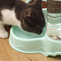 3.8L PP material Fountain Drink Bowl Automatic Pet Feeder