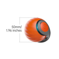 Free Shipment Interactive Indoor Training Pet Toy