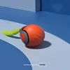 Free Shipment Interactive Indoor Training Pet Toy