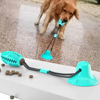 Crinkle for Small Media Dog Toys Accessories