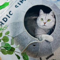 Interactive Soft Cute Shell Foldable Pet Toy Cat Tunnel Cave Tube