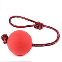 Durable Solid Rubber Dog Chew Tooth Training Ball Pet Toy with Rope Handle