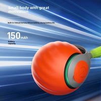 Free Shipment Interactive Indoor Training Pet Toy