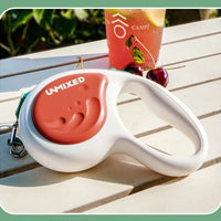 Pet Training Leash 3m Automatic Retractable Outdoor Walking Leash