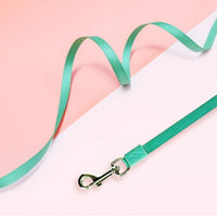 Pet Training Leash 3m Automatic Retractable Outdoor Walking Leash