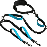 Pet Leash: Explosion-Proof Short Elastic Buffer, One-Hand Dual-Walking for All Dogs