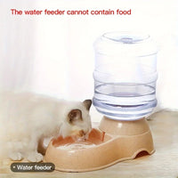 Pet dog and cat water feeding and feeder