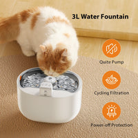Wet Dry Food Fresh-Keeping Dispenser for Cats and Dogs