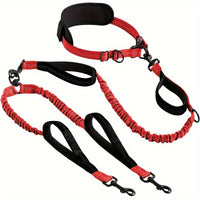 Pet Leash: Explosion-Proof Short Elastic Buffer, One-Hand Dual-Walking for All Dogs