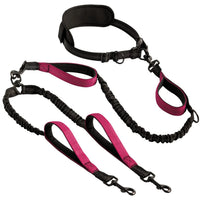 Pet Leash: Explosion-Proof Short Elastic Buffer, One-Hand Dual-Walking for All Dogs