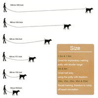 Traction Belt For Small Large Dogs Cats Outdoor Training