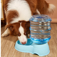 Pet dog and cat water feeding and feeder