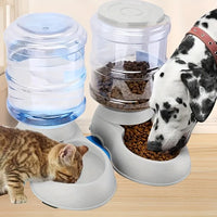 Pet dog and cat water feeding and feeder