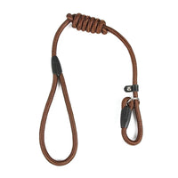 Dog Slip Leash Chain Collar Adjustable Dog Training Leash For Small Dog