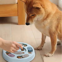 Pet Feeder Dog Educational Toys
