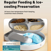 Wet Dry Food Fresh-Keeping Dispenser for Cats and Dogs